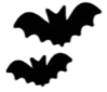 Bat